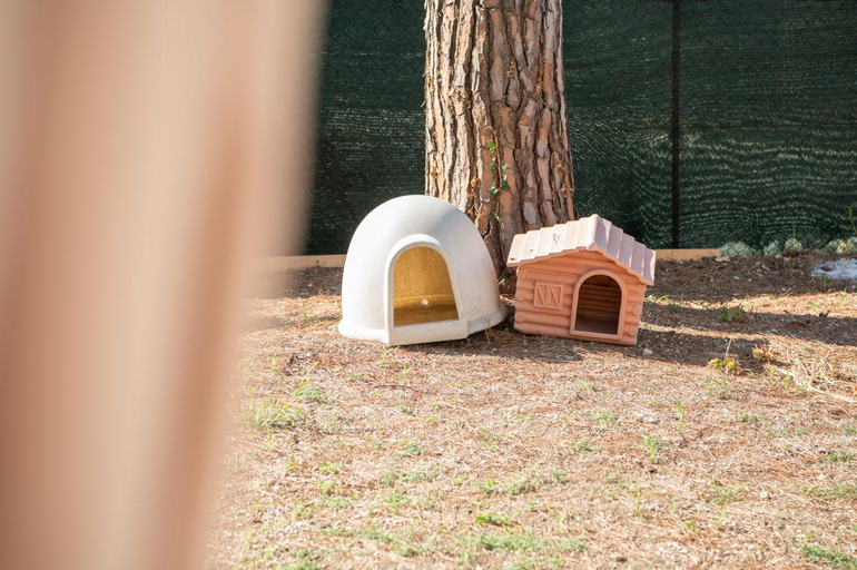 Garden 1, Casa Mally, Ancona