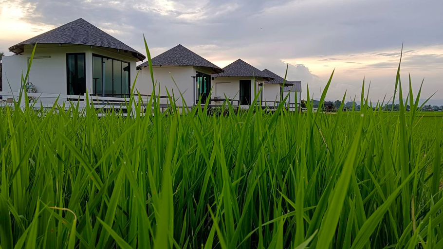 Scenery 5