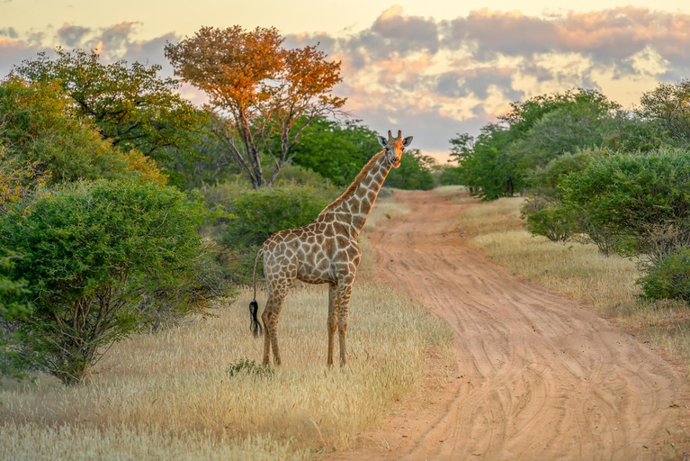 Others 2, Ohorongo Safari Lodge, Kamanjab