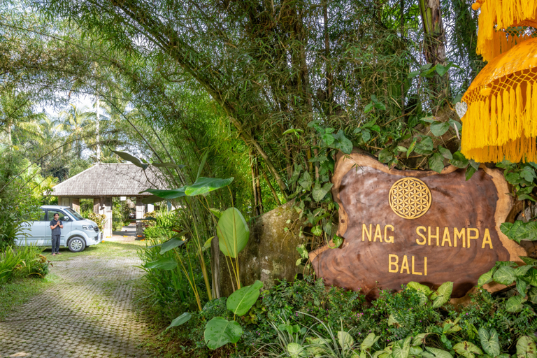 Exterior & Views, Nag Shampa Estate, Gianyar