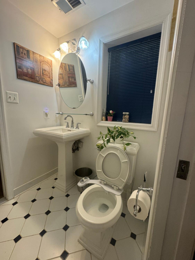 Bathroom 2, Lakeview - Tranquille private suite, Fairfax