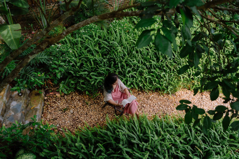 Scenery 14