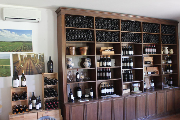 Food & Drinks 5, Agriturismo La Piana, Perugia