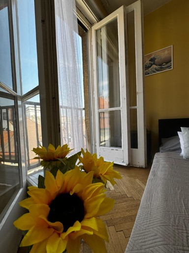 Others 2, Room in city center, Bratislava I