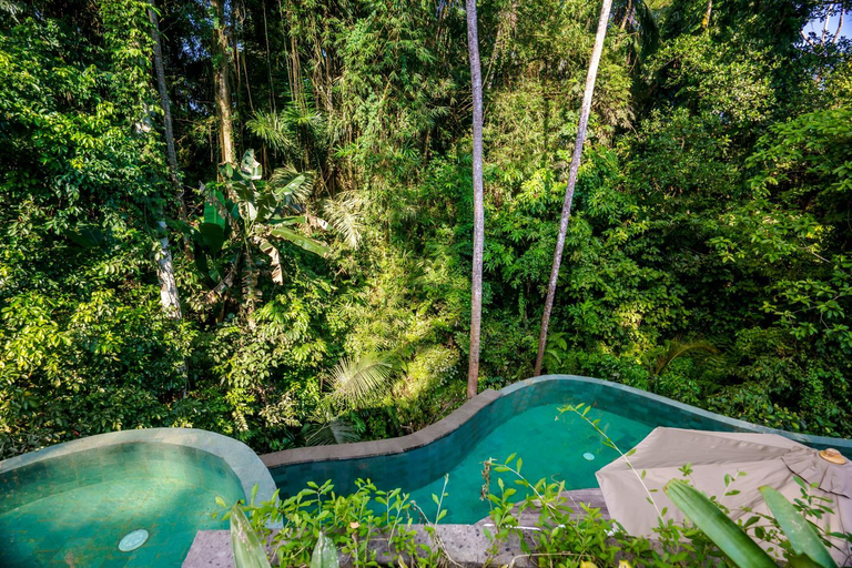 Swimming Pool 17