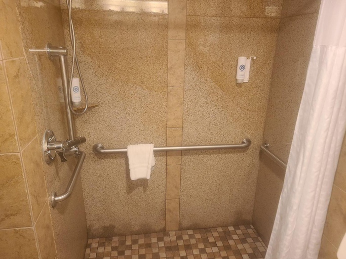 Bathroom 4, Comfort Inn & Suites Durango, La Plata