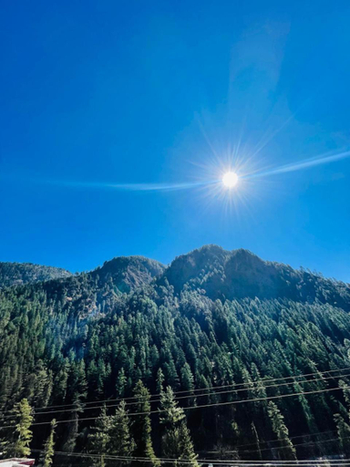Others 5, Trippy Homestay, Kullu