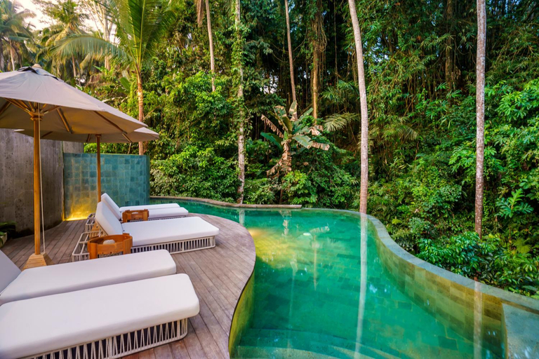 Swimming Pool 16