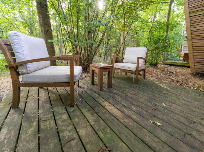Others 5, Serene Forest Escape, Hainaut