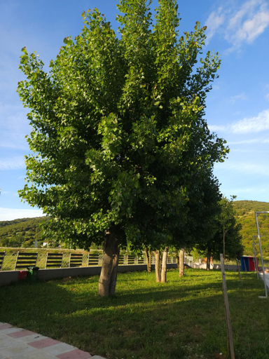 Others 2, Ioannina Camping- Glamping, Epirus