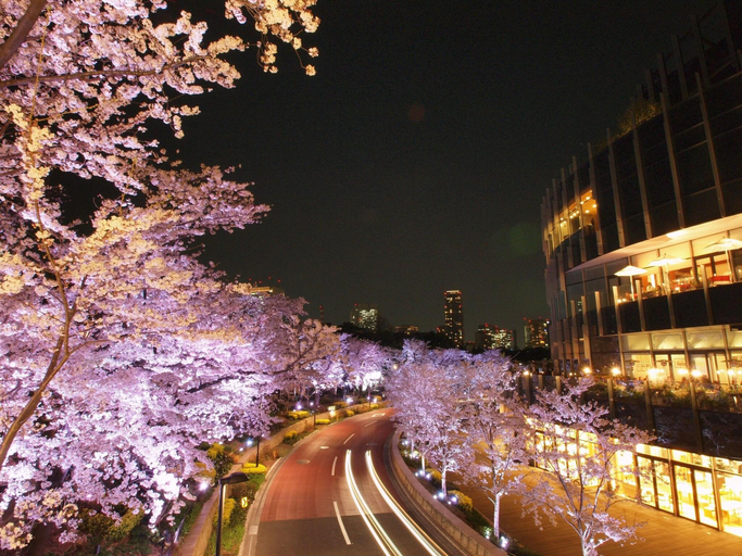Exterior & Views 3, APA Hotel Roppongi Ekimae, Minato