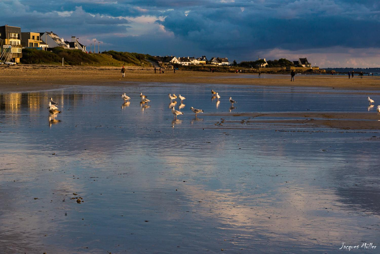 Others 5, Ile du Ponant, Morbihan