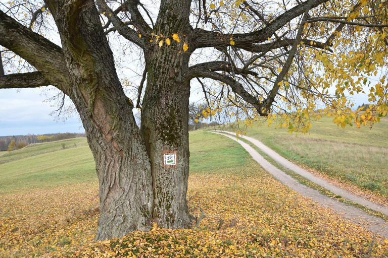 Others 4, Wigierski Park Narodowy, Suwałki