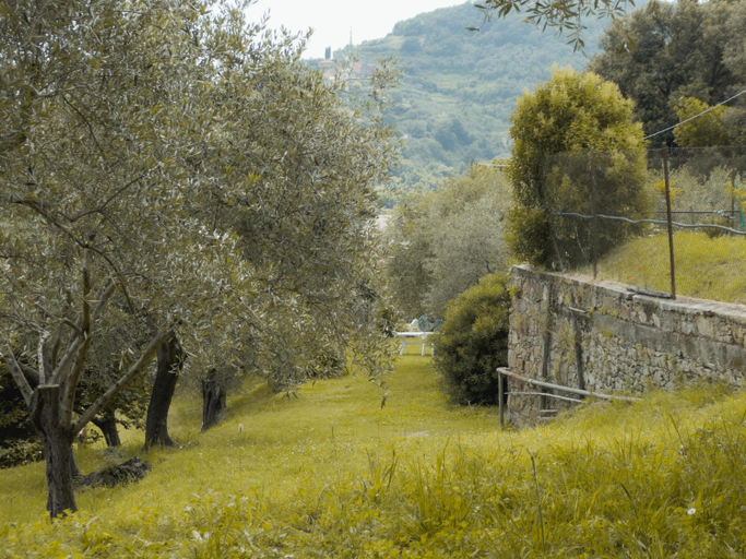 Others 2, Agriturismo Uliveto Bartolomeo, Genova
