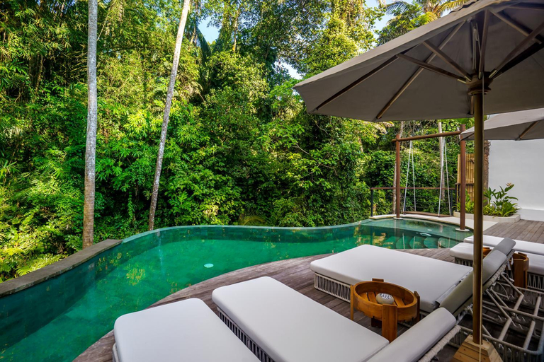 Swimming Pool 11