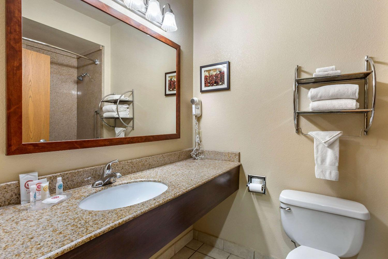 Bathroom 4, Comfort Inn & Suites Deming, Luna