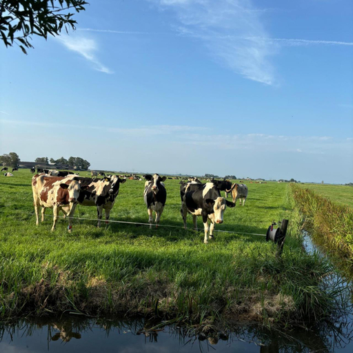 Others 3, Aan de Hoge Weg, Kampen