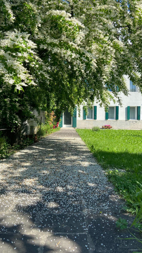 Others 4, Magnolia 41, Treviso