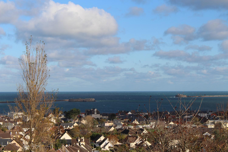 Others 4, Chambre d'hotes vue sur mer, Manche