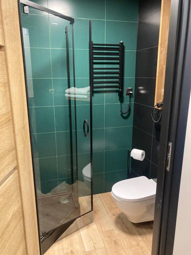 Bathroom 3, Apartamenty PRZY FONTANNIE, Zielona