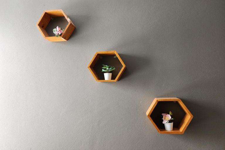 Others 11
