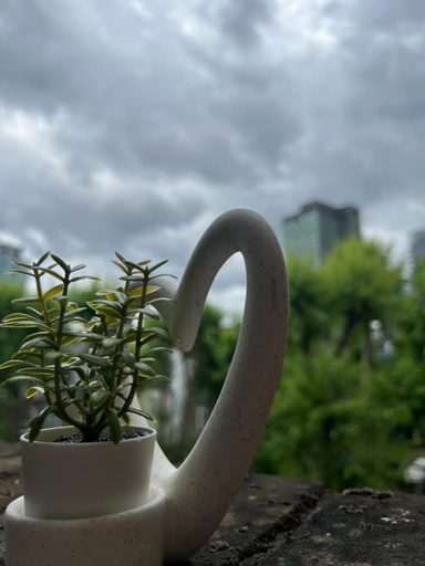 3, Lovely Entire Flat with Private Balcony in Euston-Central London, London