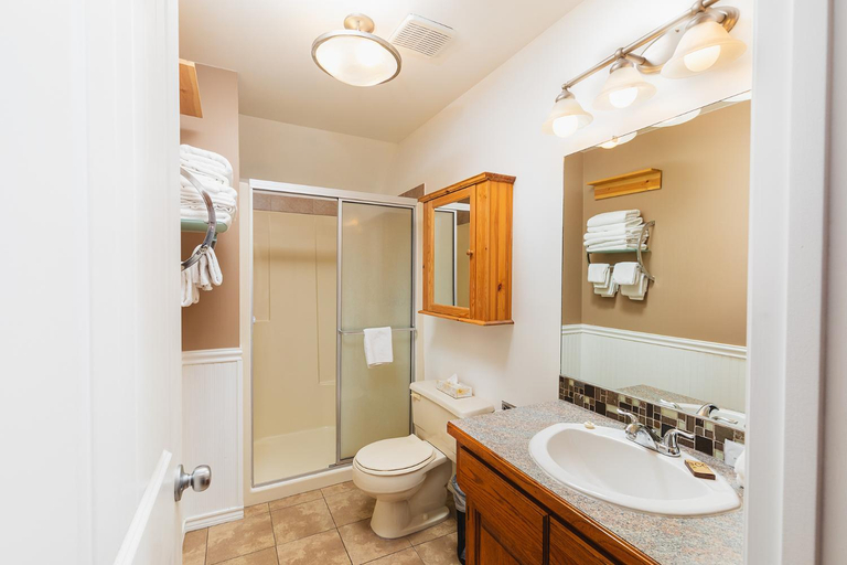 Bathroom 4, Overlander Mountain Lodge, Division No. 14