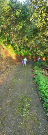 Others 3, Eadhen Villa, Idukki