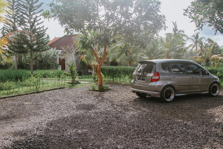 Exterior 15
