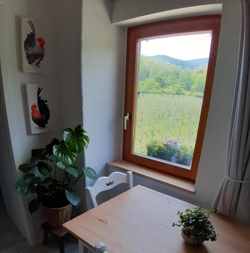 Others 5, DANDELION Bed & Breakfast, Haut-Rhin