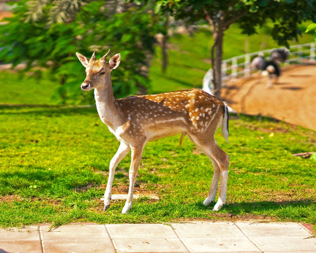 Others 5, Nirvana Retreat, Ras Al Khaimah