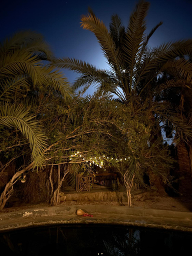 Others 5, Shamofs art garden, Siwa