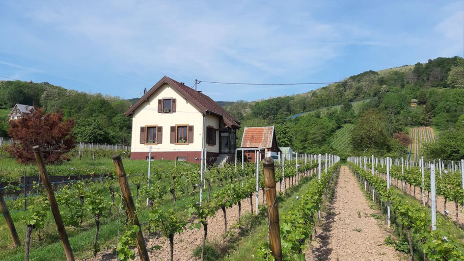 Others 2, DANDELION Bed & Breakfast, Haut-Rhin