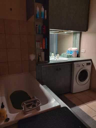 Bathroom 2, Maison de ville quartier de France Vichy, Allier