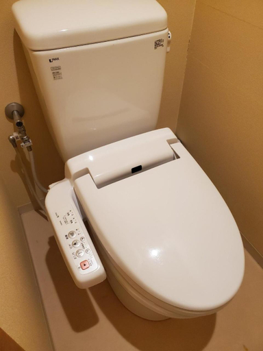 Bathroom 3, Hotel RakusekiI Honkan, Toyooka