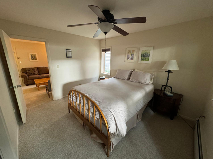 Bedroom 3, Shadow Mountain Lodge, Pitkin