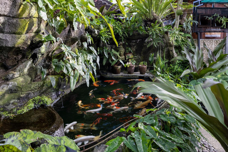 Others 3, Cloudspace Ubud, Gianyar