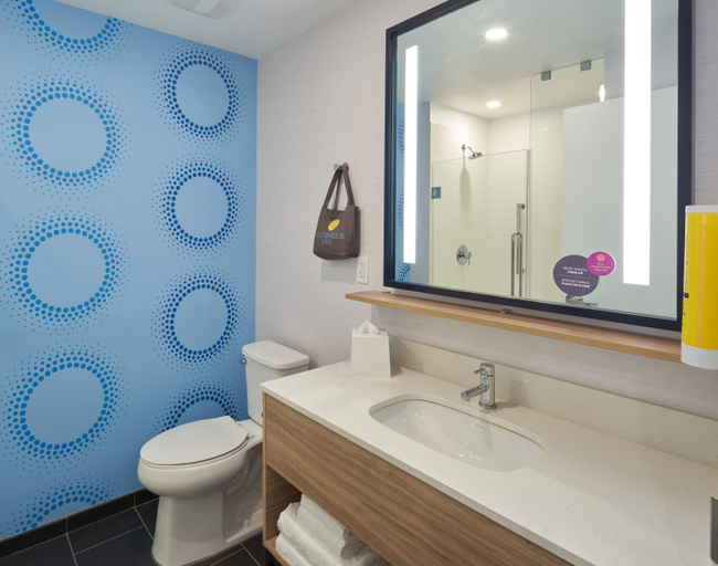 Bathroom 4, Tru by Hilton Ft. Lauderdale Downtown, Broward