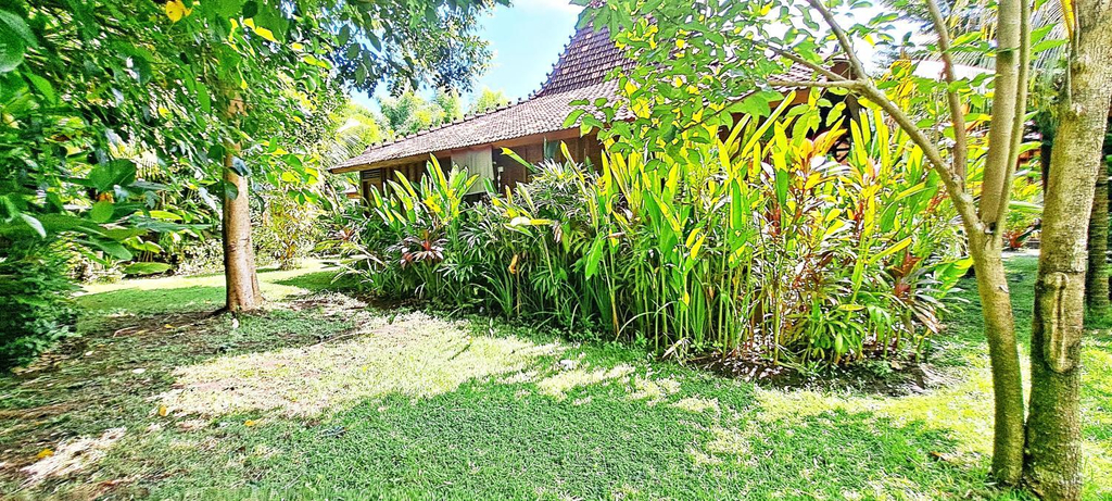 Others 5, Le Petit Leon's Traditional wooden house, Buleleng