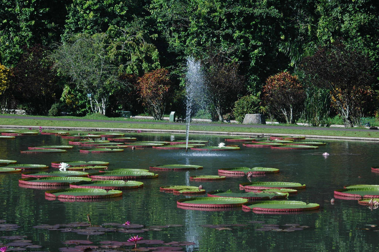 Nearby Landmark