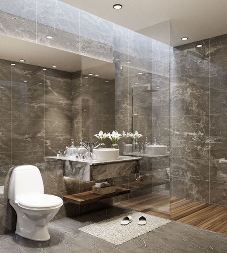 Bathroom 5, De Paris Hotel, Medan