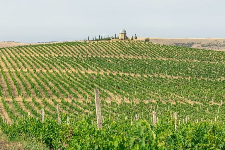 Others 5, Winery Chabiant Hotel, İsmayıllı
