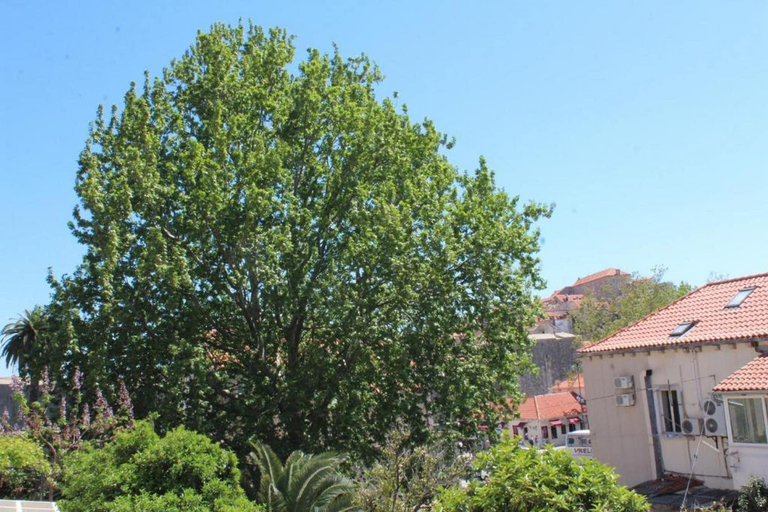Exterior & Views 2, Guest House Gugily, Dubrovnik
