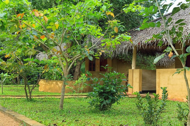 Others 4, Niyagala Lodge Sigiriya, Dambulla