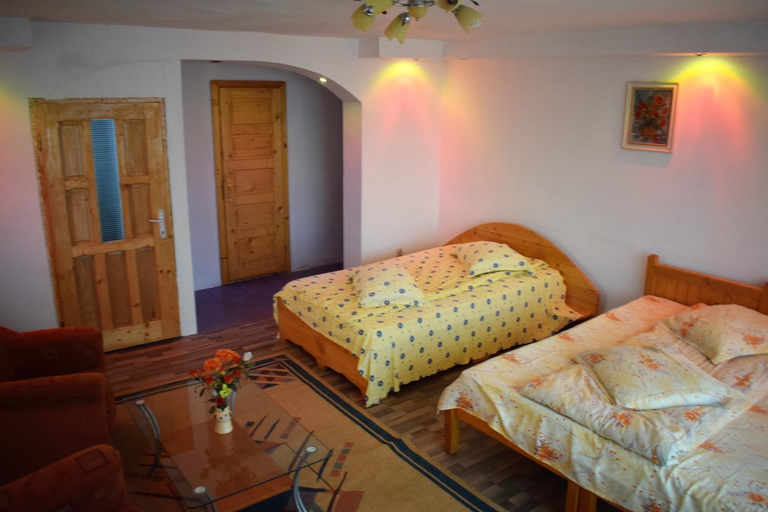 Others 3, Casa Parvu, Sotrile