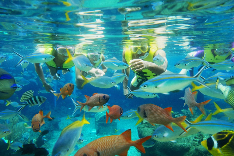 Others 5, Resorts World Sentosa-Hotel Michael Singapore, Singapura