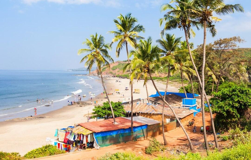 Others 5, Hotel Arambol Arbour, North Goa