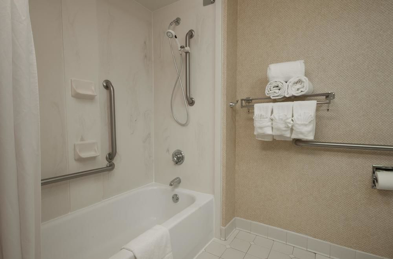 Bathroom 4, Hampton Inn Atlanta-Buckhead, Atlanta