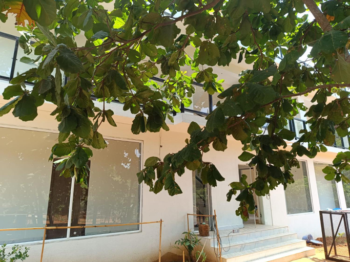 4, Ecoark Farmstay, South Goa