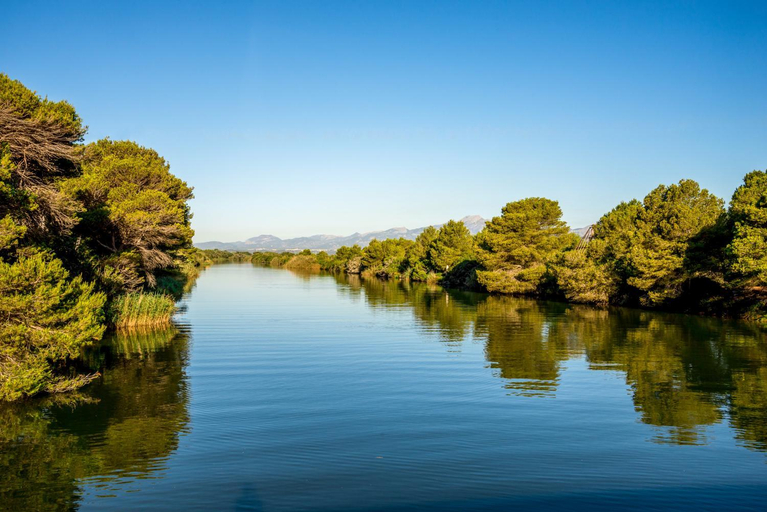 Others 5, 274 Villa Manresa ETV 4301 by Mallorca Charme, Baleares